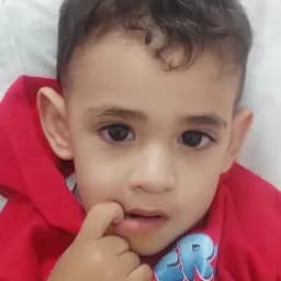 reza08