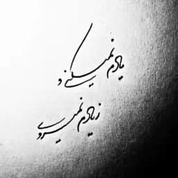 لیلی بانو(بانوی اول دربار)